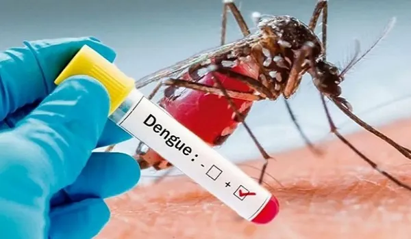 दिल्ली में इस वर्ष अब तक डेंगू के 2,700 से अधिक मामलों की पुष्टि