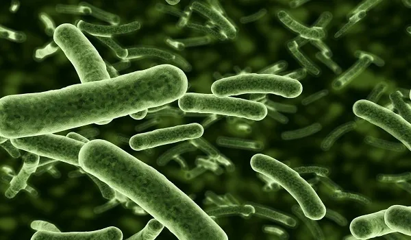 Lancet Study के मुताबिक भारत में 5 तरह के जीवाणुओं ने 2019 में लीं 6.8 लाख जान