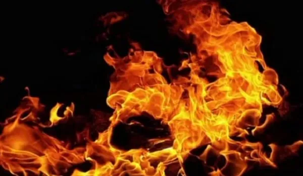Kolkata: न्यू टाउन में भीषण आग से सड़क किनारे 20 छोटी दुकानें जलकर खाक, जांच जारी 