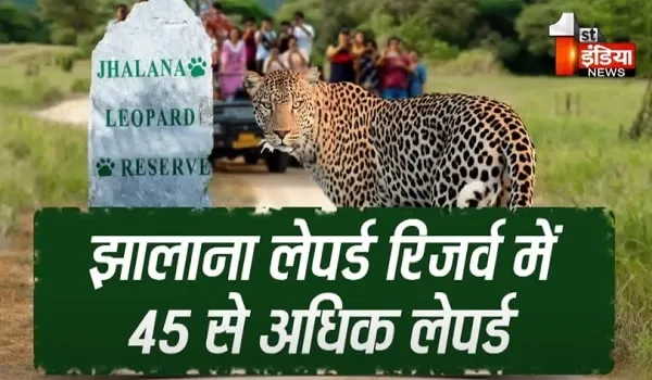VIDEO: जयपुर बनेगा लैपर्ड कैपिटल ऑफ द वर्ल्ड, देखिए ये खास रिपोर्ट 