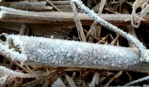 फतेहपुर में माइनस 1.5 डिग्री पहुंचा रात का पारा, खेतों और वाहनों पर बर्फ की परत