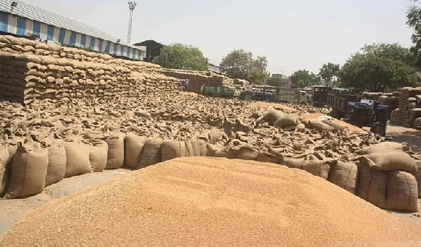 प्रदेश के किसानों से समर्थन मूल्य पर होगी गेहूं की खरीद, न्यूनतम मूल्य 2275 रुपए प्रति क्विंटल निर्धारित
