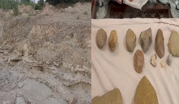 जैसलमेर में मिले 15 लाख साल पहले आदि मानव जीवन काल के प्रमाण, काक नदी के किनारे पहाड़ियों में मिले पत्थर के हथियार व औजार