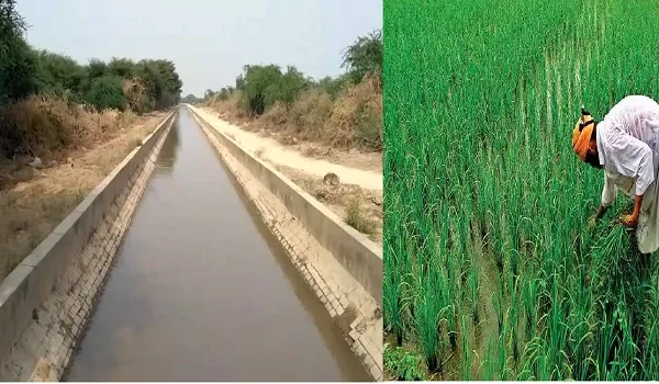 Jaisalmer News: रबी की सीजन में किसानों को मिलेगी बड़ी राहत, नहरों में 31 दिसंबर तक चार में से 2 समूहों में छोड़ा जाएगा पानी