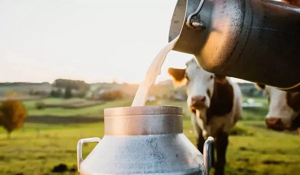 दूध के बढ़ते दाम पर सरकार ने लिया अहम फैसला, इसके निर्यात पर लगाई रोक